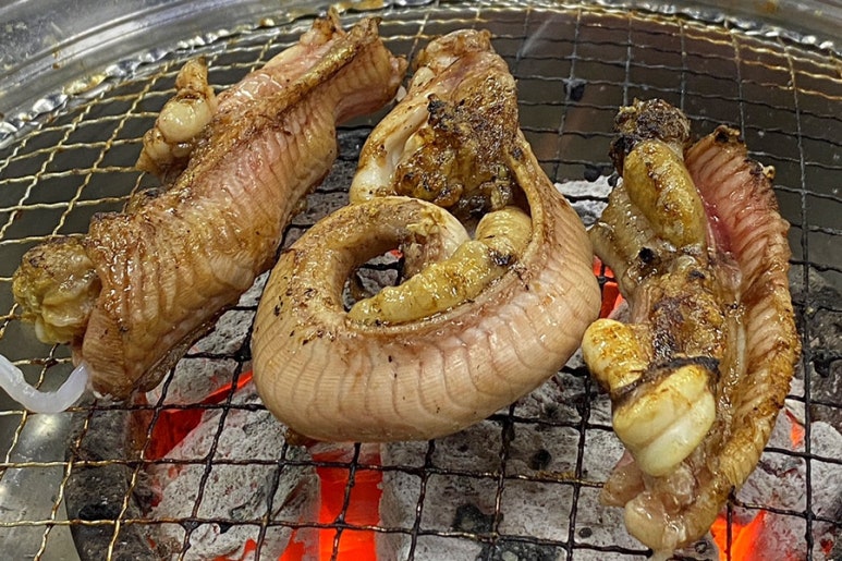 산곰장어 이미지