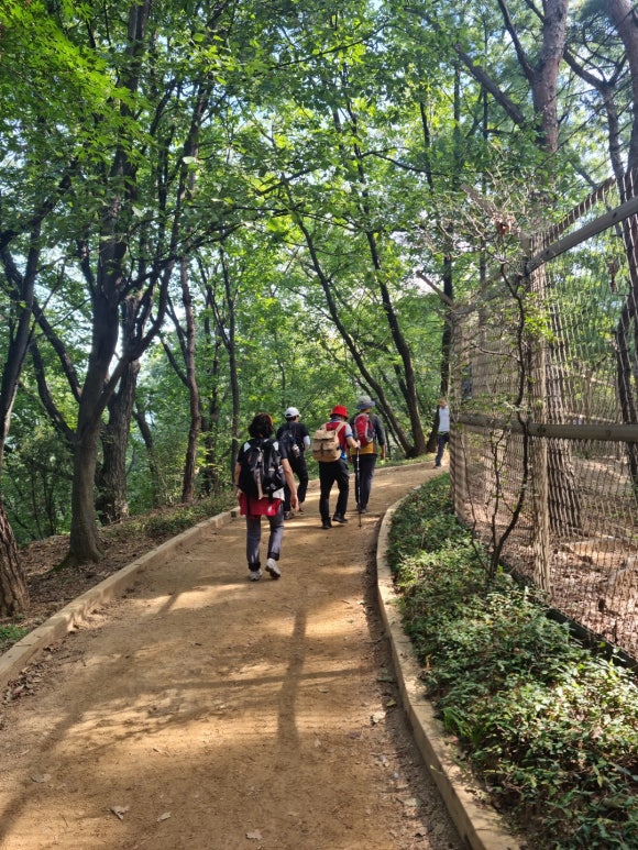 국대오리 이미지