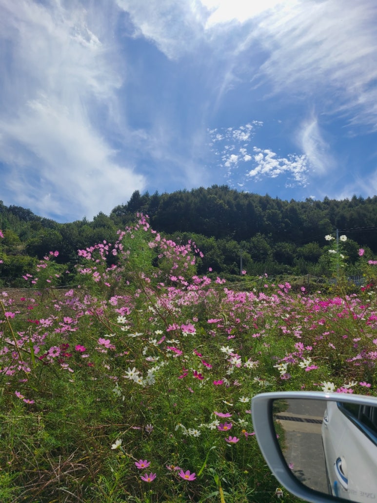 (주)시루산 이미지
