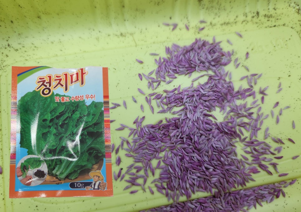 가온나무병원 이미지