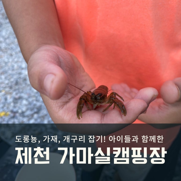 가마실캠핑장낚시터 이미지