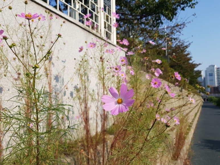 고기굽는마을 이미지