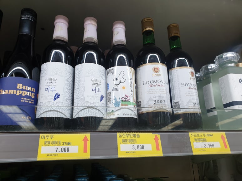 부안솔가 이미지