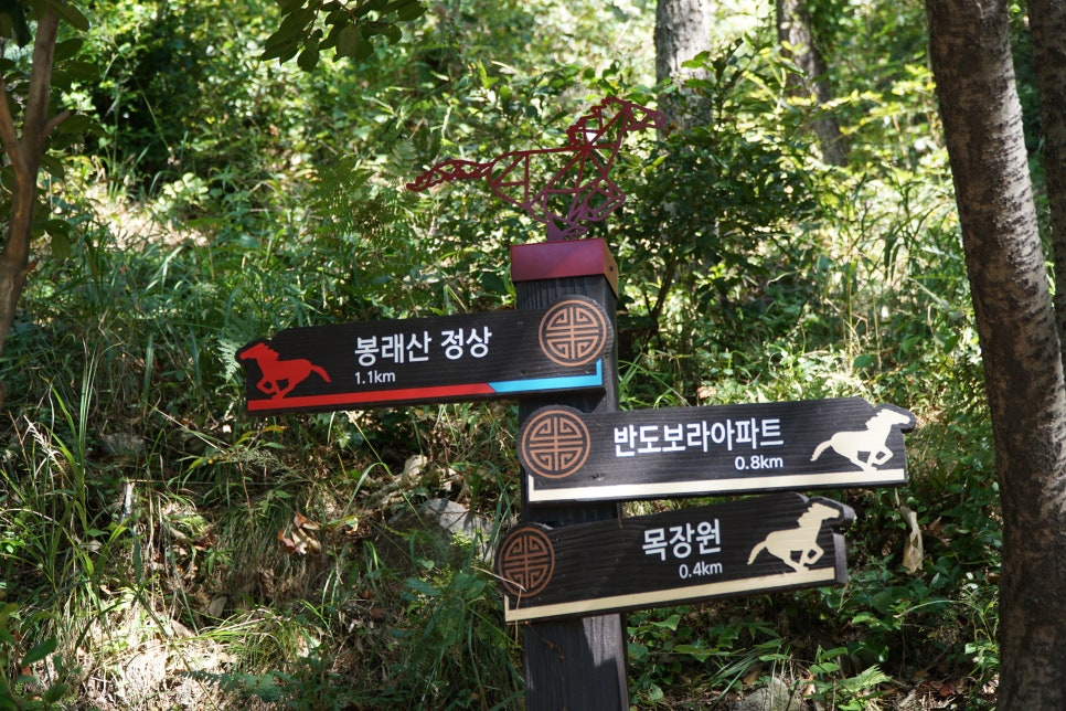 한필마장 이미지
