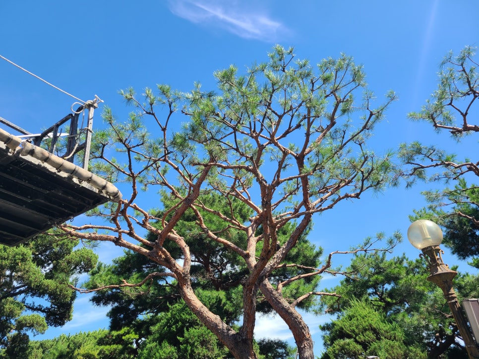 동산종합인테리어 이미지