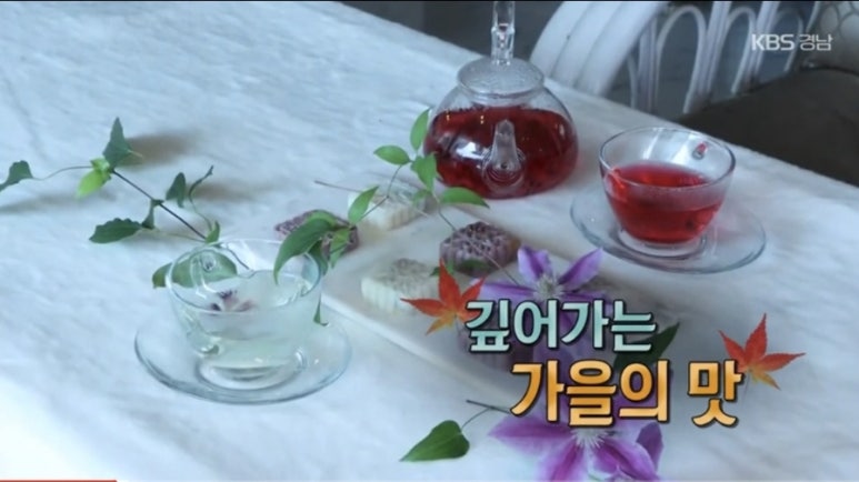 사단법인 한국다도협회 이미지