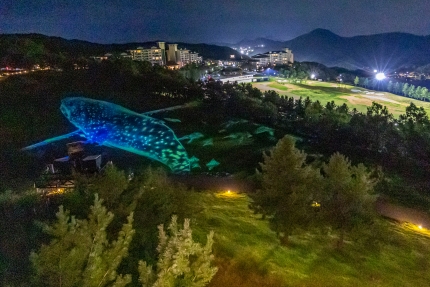 뽀글파마 이미지