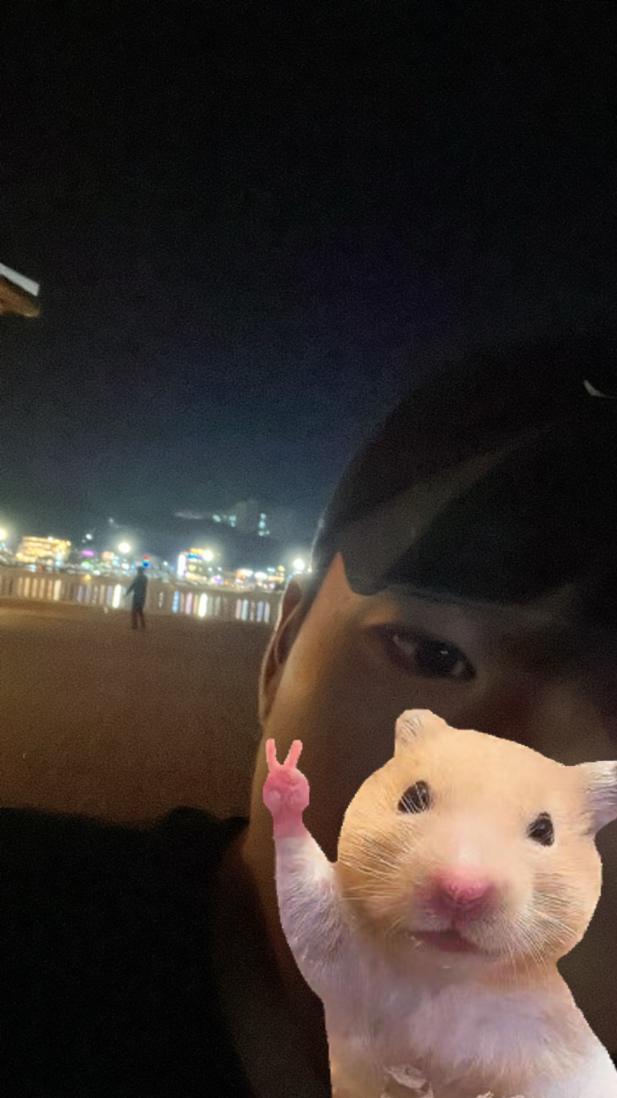 또또바 이미지