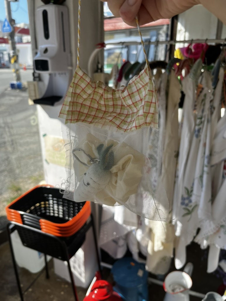 밋미인더모닝 이미지