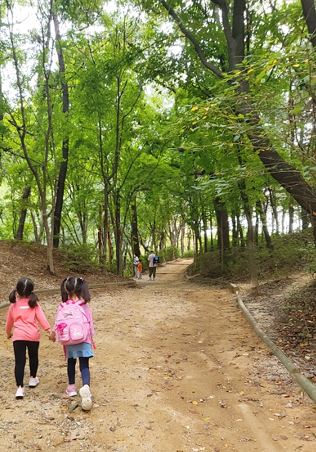 오금공원 유아숲체험원 이미지