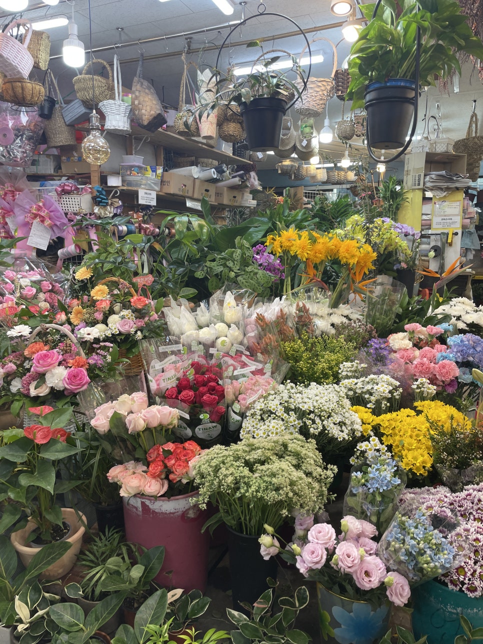 도야족발 양산중부점 이미지