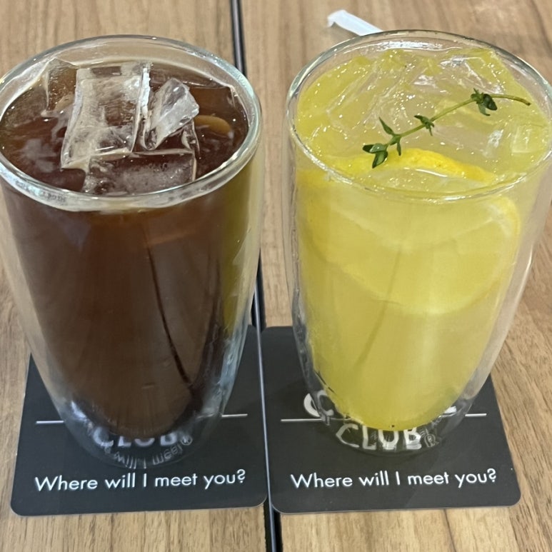 포레스트디바 이미지