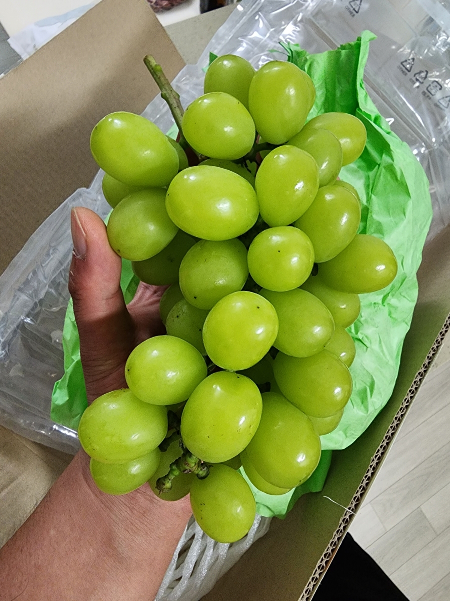 마고농원 이미지