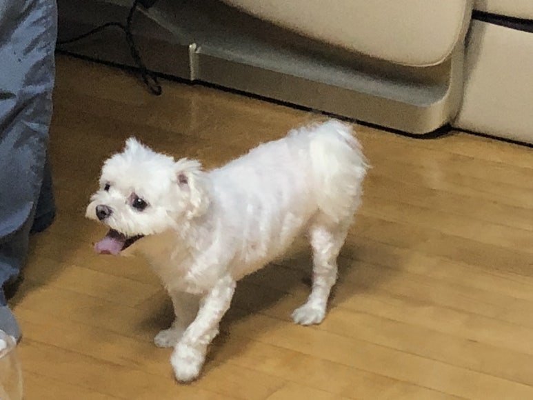 시실리 공덕 이미지
