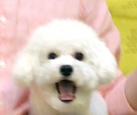 오타쿠 이미지