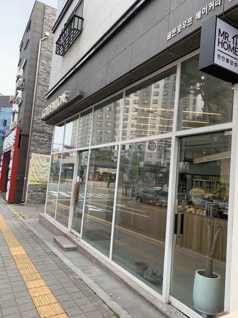 골든로우프 이미지
