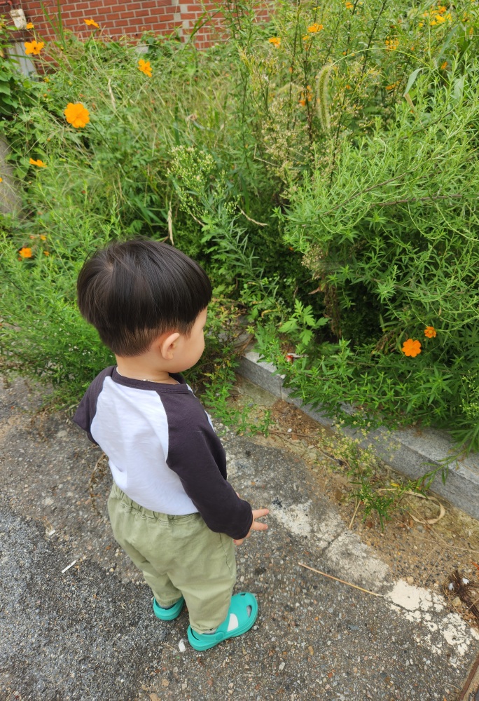 동진 이미지