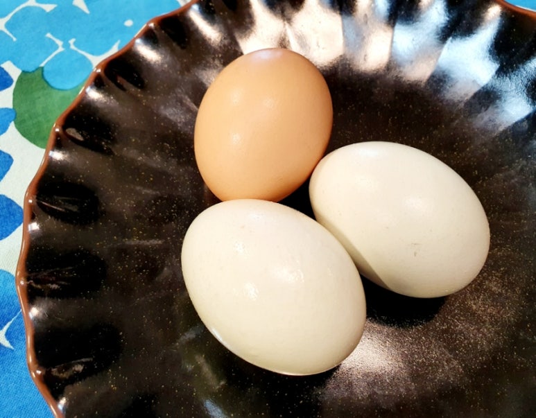 황란식당 이미지