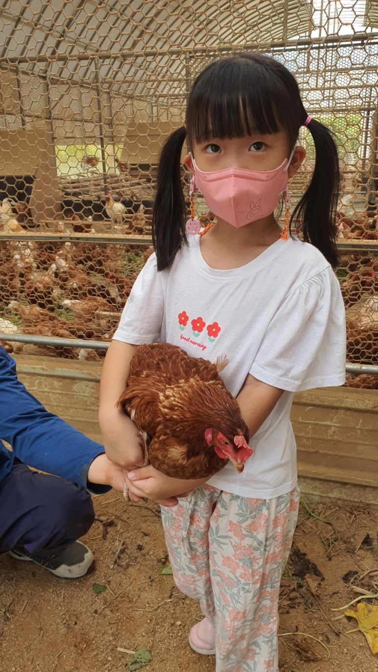 아빠사랑팜체험 이미지