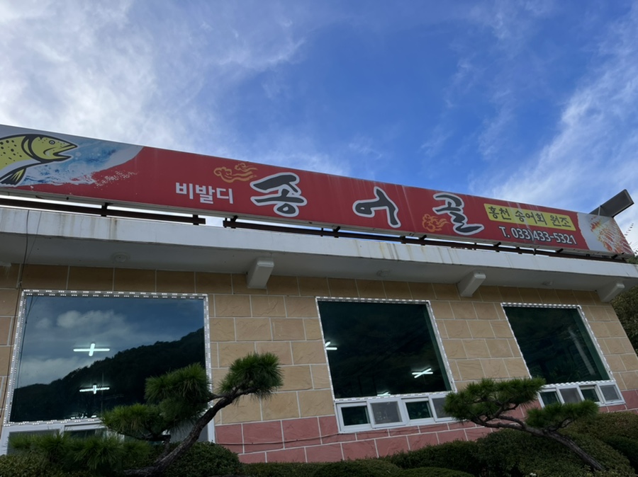 비발디송어골 이미지