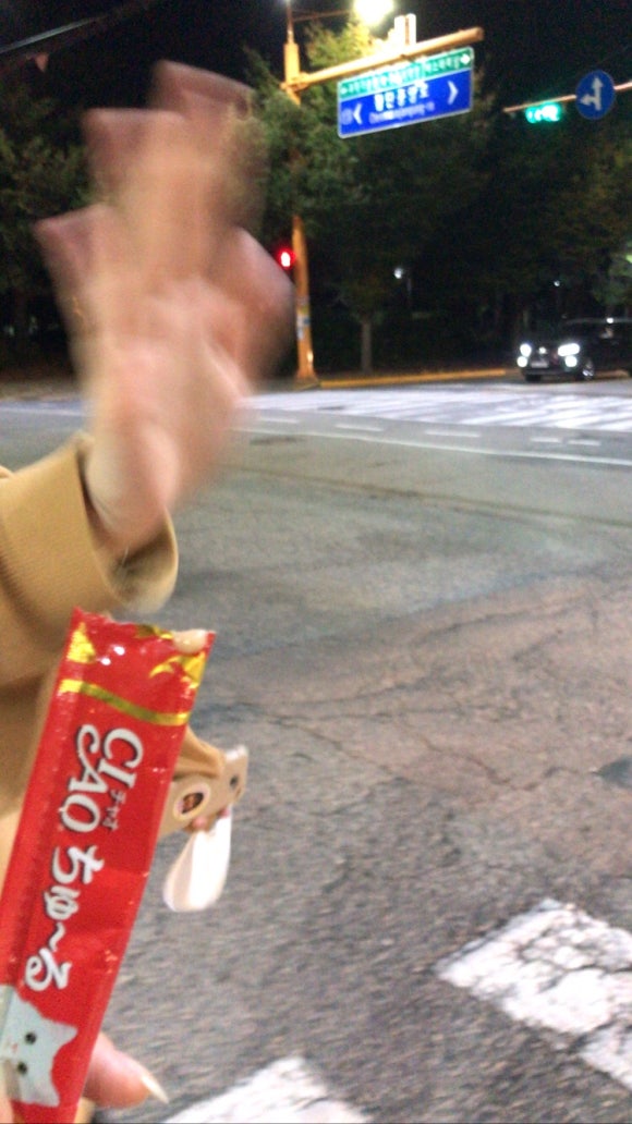 일신청과 이미지