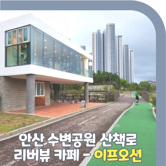 이프오션 이미지