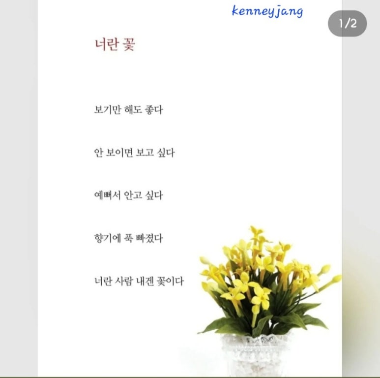 너란, 꽃 이미지