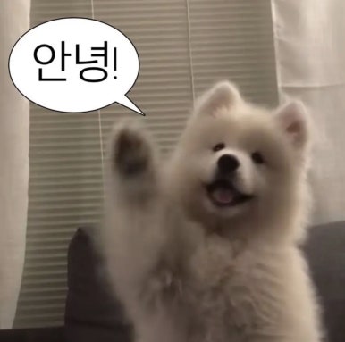 팬헬스 이미지