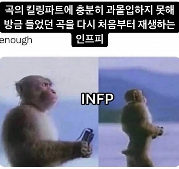 에코레 이미지