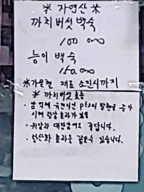 강남스타일약초백숙 이미지