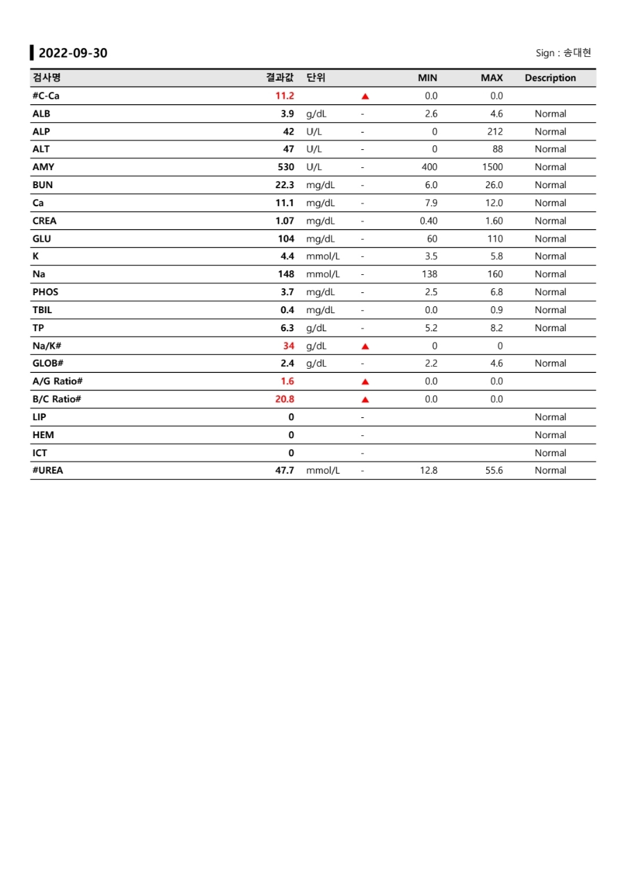 롯데시네마 4관 이미지