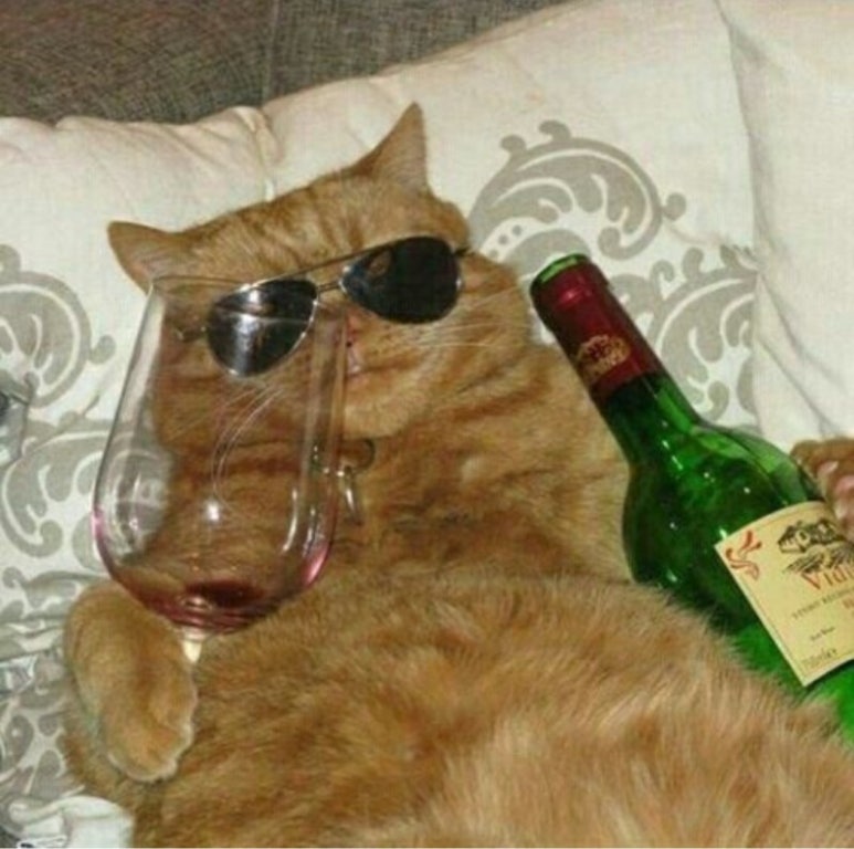 지금 이미지