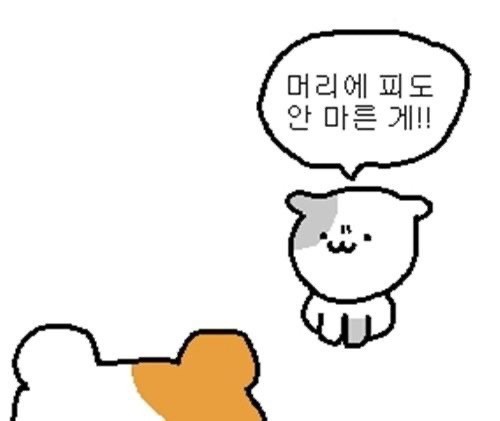 주*례 이미지