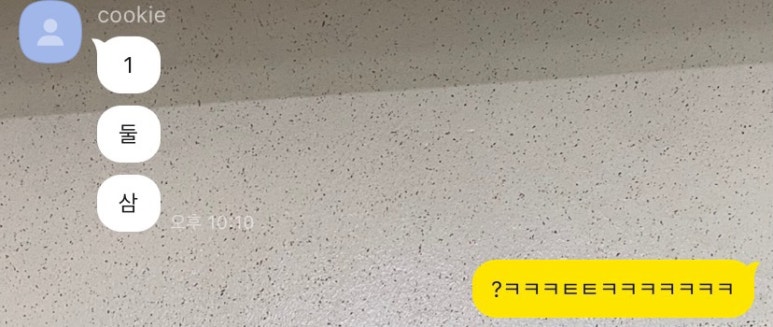 일이삼박이네 이미지