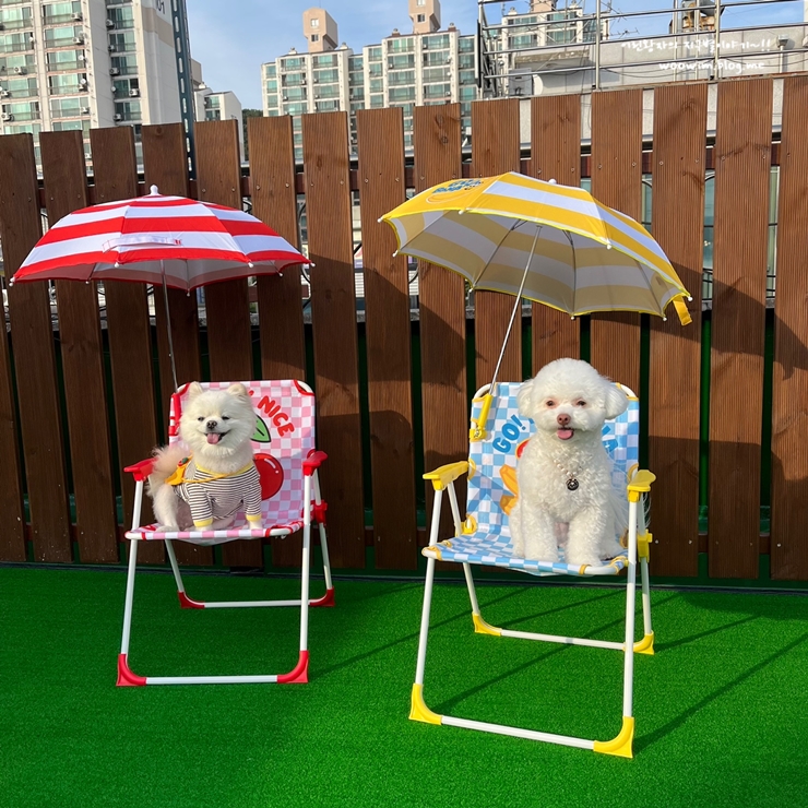 야미뽀 이미지
