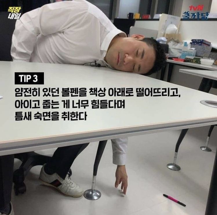 베이크샵다이브 이미지