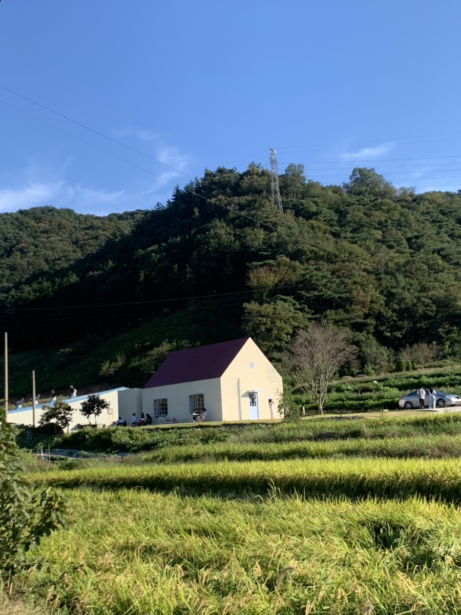 시노유(shino'u 이미지