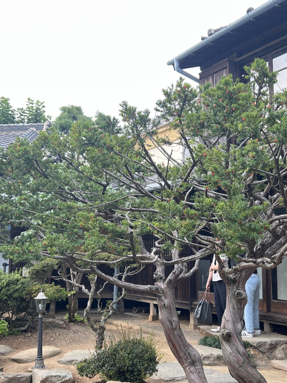 명신세탁 이미지