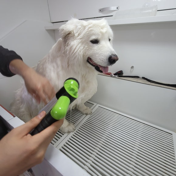 마코청주 이미지