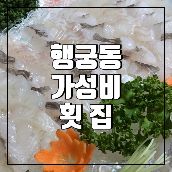 노다지회백화점 이미지