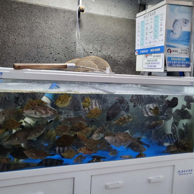 사계절회식당 이미지