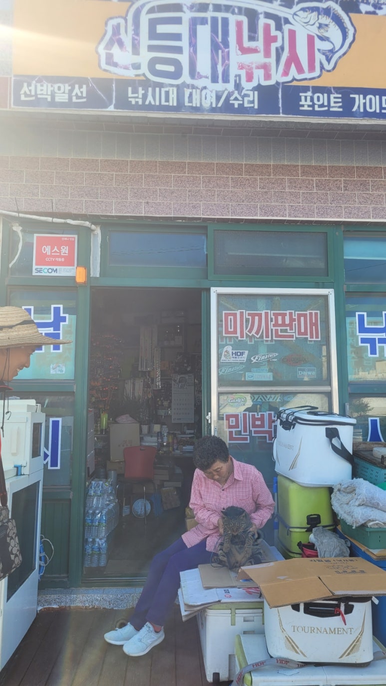 신등대낚시 이미지