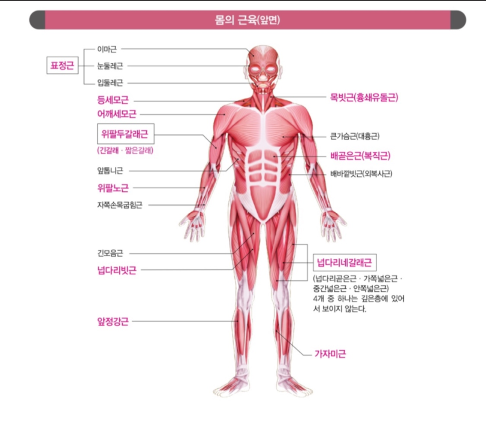 바디채널역곡역 이미지