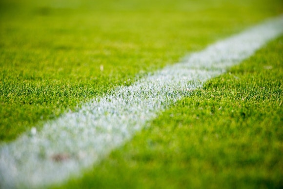 서울축산농협사료사업본부 이미지