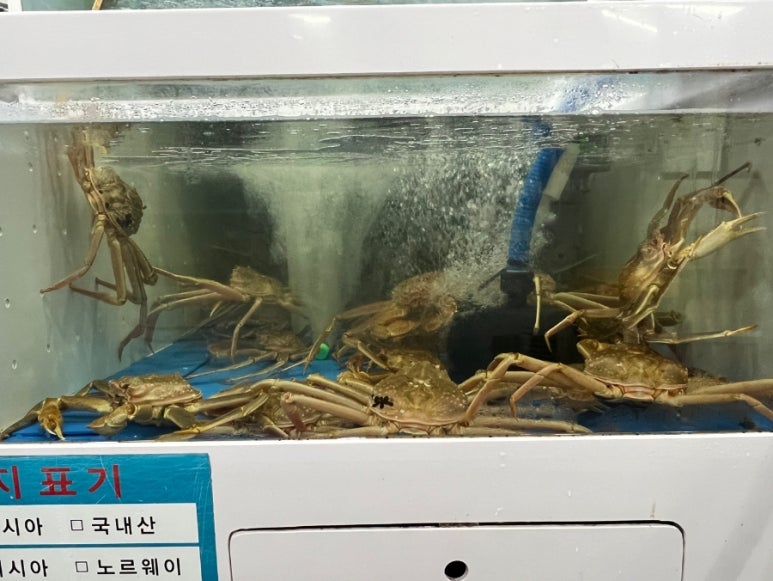 게장군수산 이미지