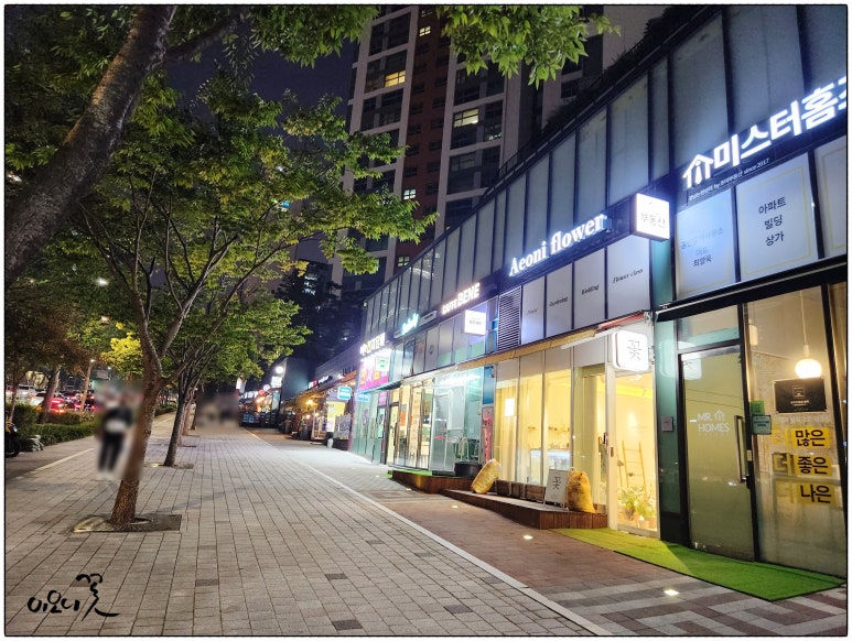 이오니플라워 이미지