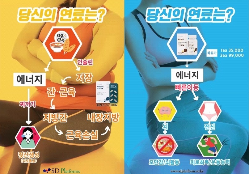에스디컨설팅 이미지