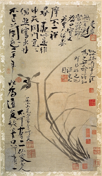 선인장포도 이미지