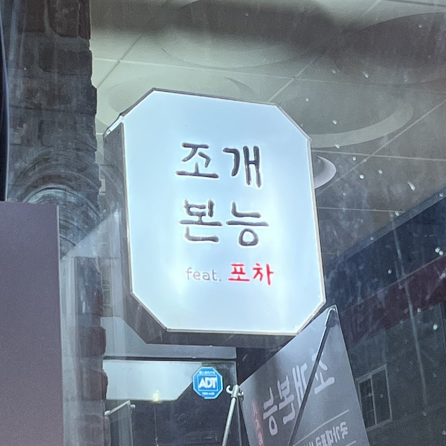 조개본능 이미지