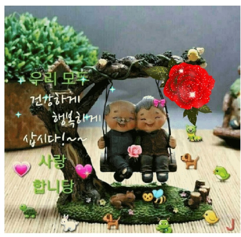 주식회사 리라로 이미지